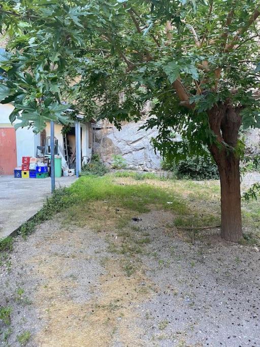 Appt 4 Pers Avec Jardin Ombrage En Centre Ville De Sete Sète Exterior foto